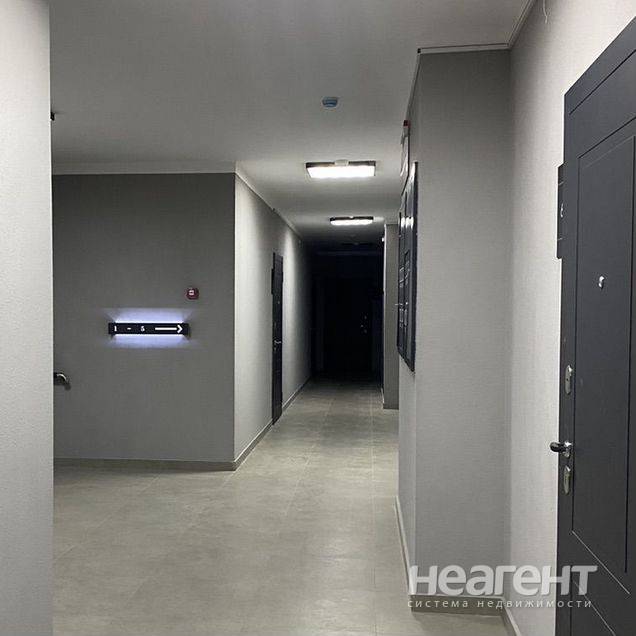 Фотография №2