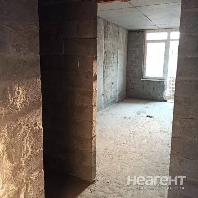 Фотография №3