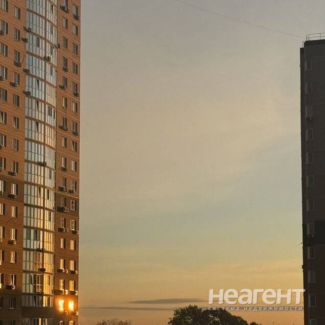 Фотография №2