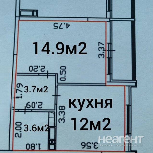 Фотография №2