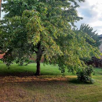 Продается Дом, 340 м²