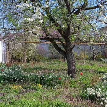 Продается Участок, 600 м²