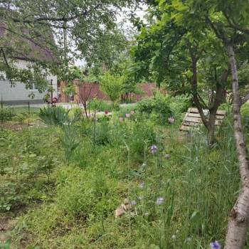 Продается Участок, 900 м²