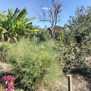 Продается Участок, 900 м²