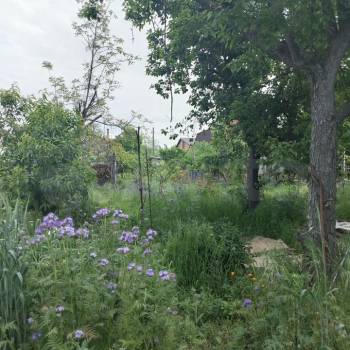 Продается Участок, 900 м²