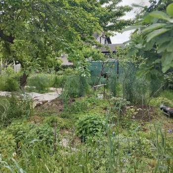 Продается Участок, 900 м²