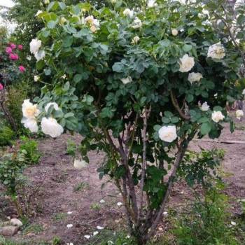 Продается Участок, 2400 м²