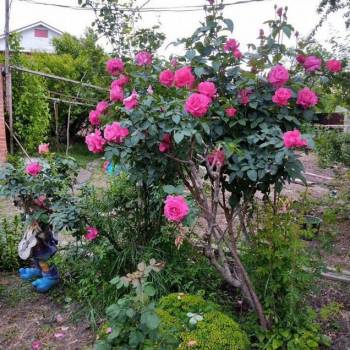 Продается Участок, 2400 м²