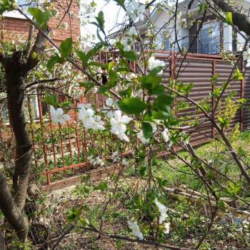 Сдается Дом, 40 м²