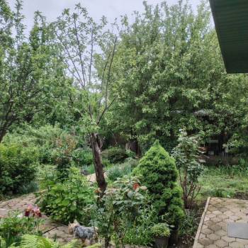 Продается Дом, 40 м²