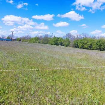 Продается Участок, 970 м²