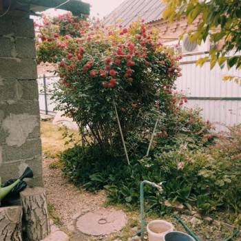 Продается Участок, 250 м²