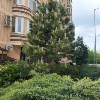 Продается 1-комнатная квартира, 46,2 м²