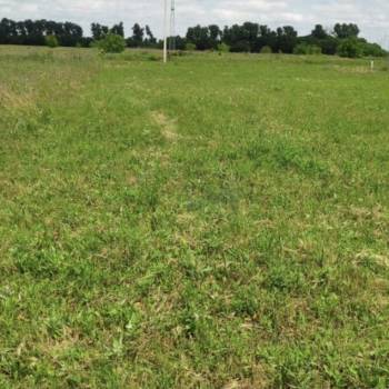 Продается Участок, 1000 м²