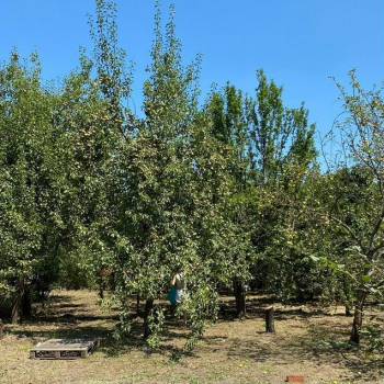 Продается Участок, 630 м²