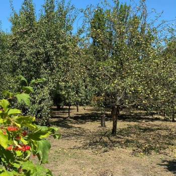 Продается Участок, 630 м²