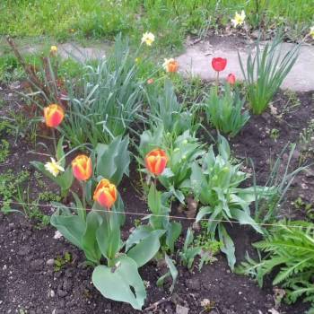 Продается Участок, 360 м²