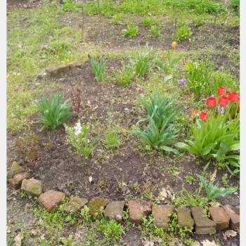 Продается Участок, 360 м²