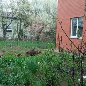 Продается Дом, 200 м²