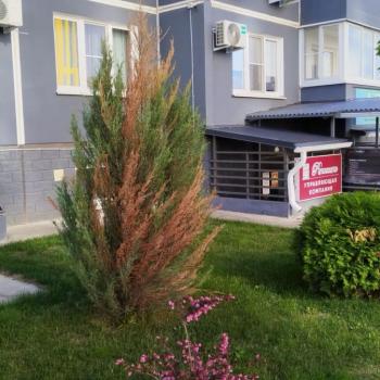 Сдается Нежилое помещение, 10 м²