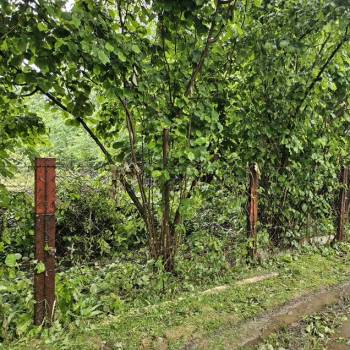 Продается Участок, 600 м²