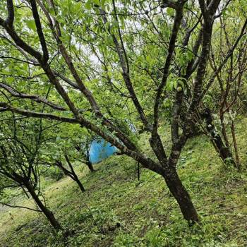 Продается Участок, 600 м²