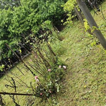 Продается Участок, 600 м²