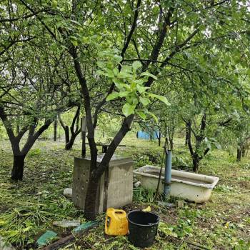 Продается Участок, 600 м²