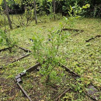 Продается Участок, 600 м²