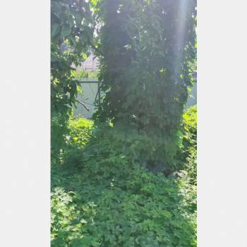 Продается Участок, 400 м²