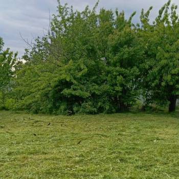 Продается Участок, 600 м²