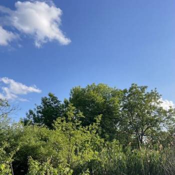 Продается Участок, 600 м²