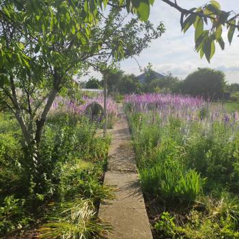 Продается Дом, 56 м²