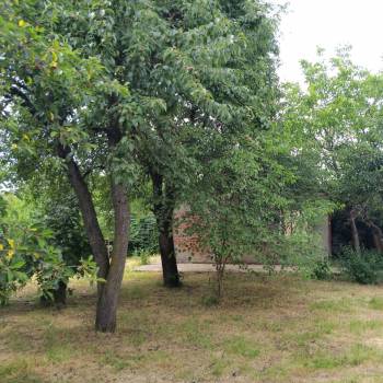 Продается Дом, 30 м²