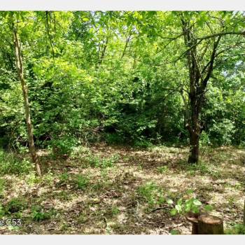 Продается Участок, 1000 м²