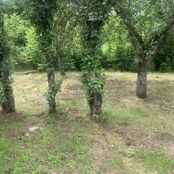 Продается Участок, 625 м²