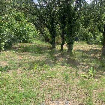 Продается Участок, 625 м²