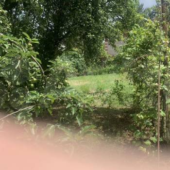 Продается Участок, 625 м²