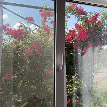 Продается Дом, 190 м²