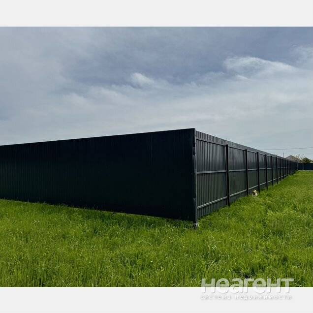 Фотография №2