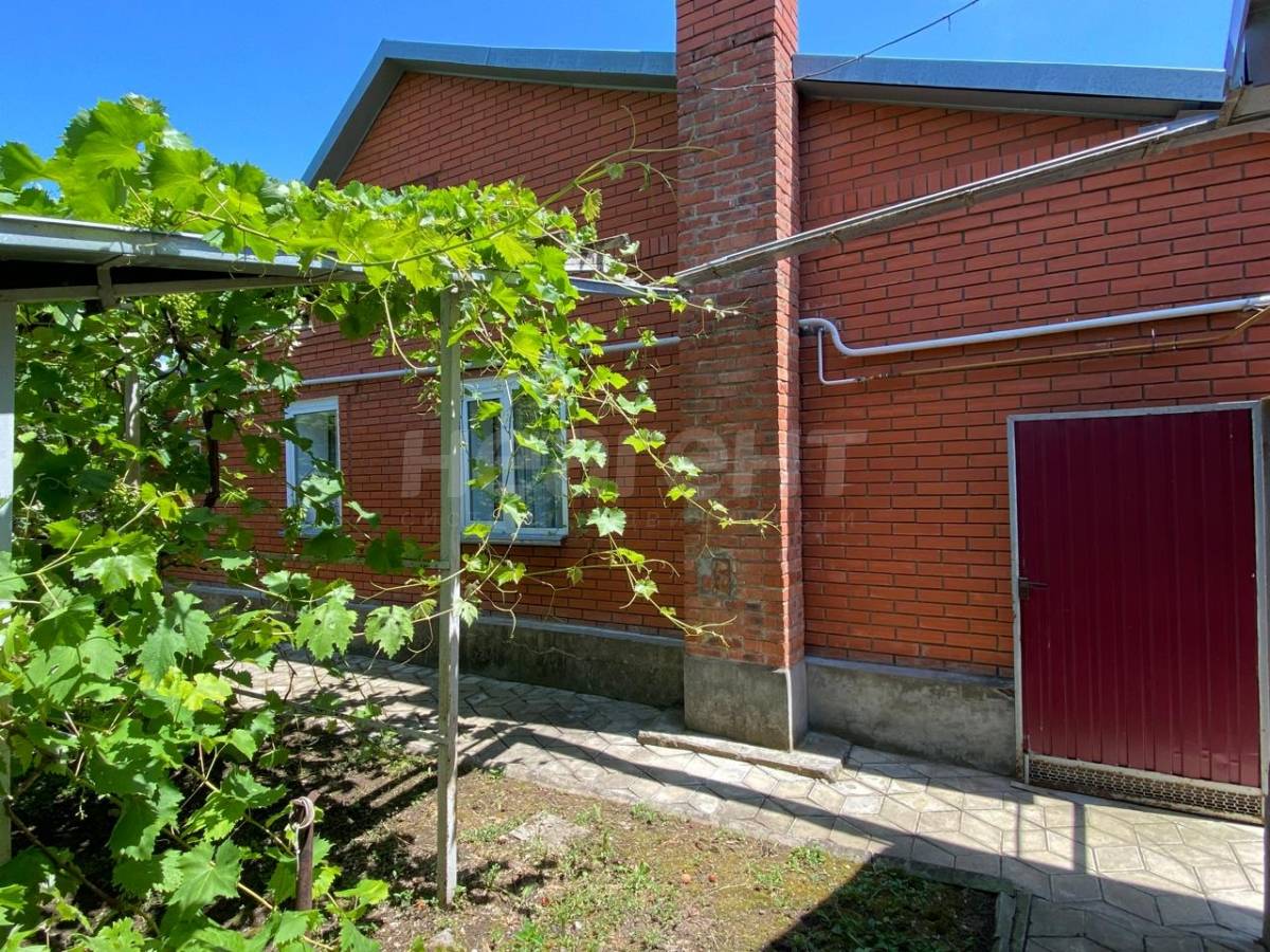 Фотография №7