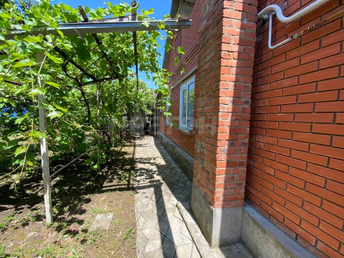 Фотография №8