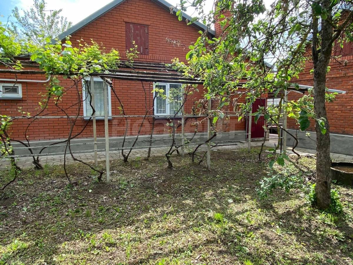 Фотография №10