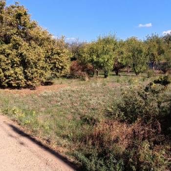 Продается Участок, 800 м²