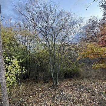 Продается Участок, 150 м²