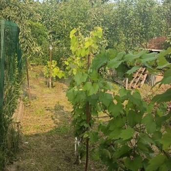 Продается Дом, 31 м²