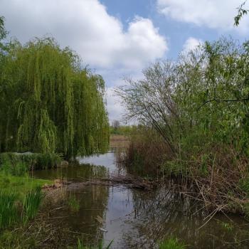 Продается Дом, 90 м²