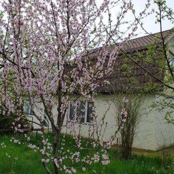 Продается Дом, 90 м²