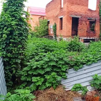 Продается Участок, 900 м²