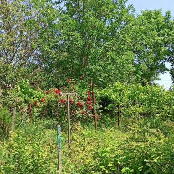 Продается Дом, 45 м²